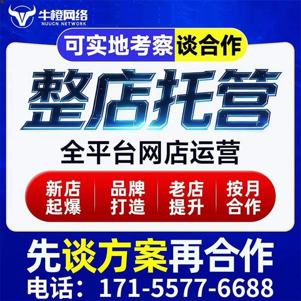 个旧电商代运营