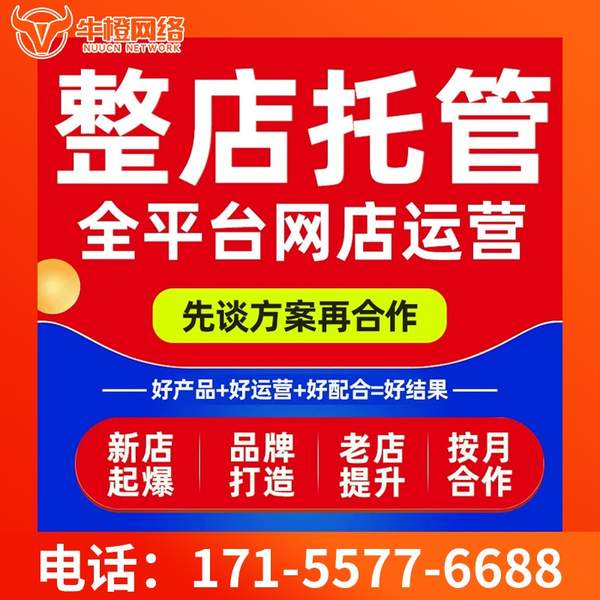 个旧电商代运营