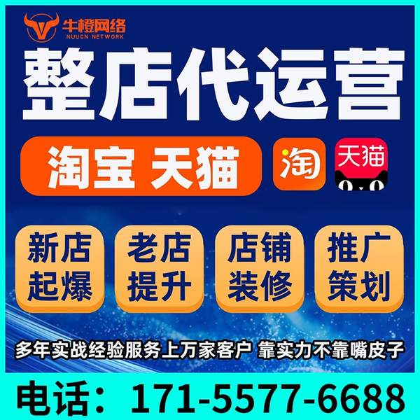 个旧电商代运营