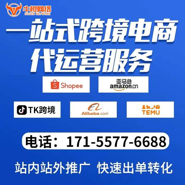 个旧电商代运营